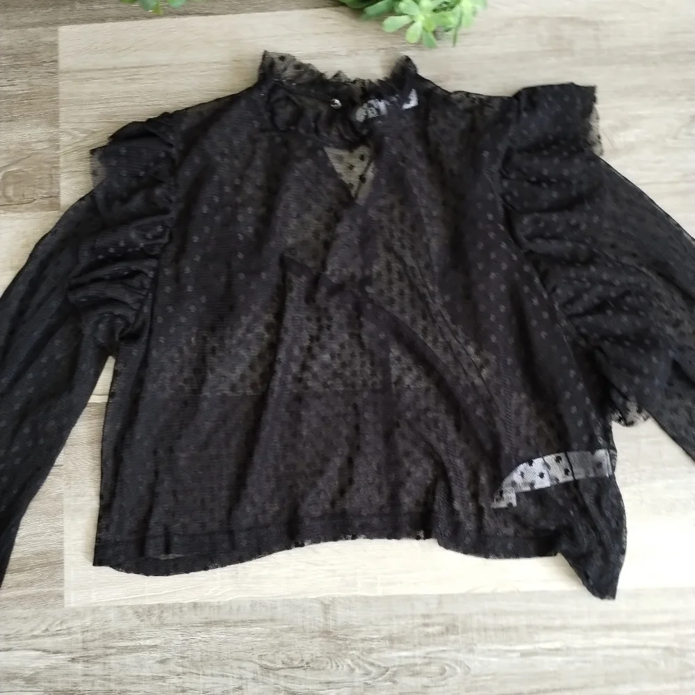 Zara Sheer Black Ruffled Blouse Large